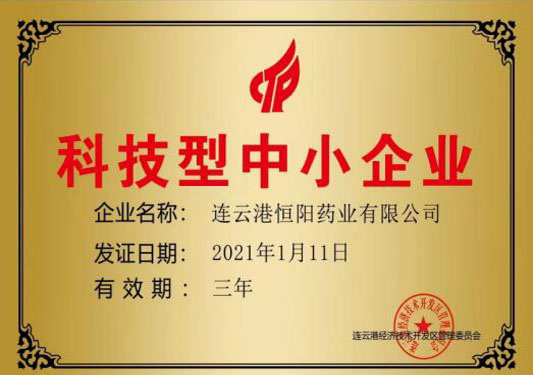 科技型中小企業(yè)
